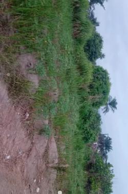 Commercial Land for Sale